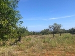 MPH-2007: Land for sale in Cala Domingos