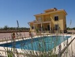 CF931: Villa for sale in Pinoso