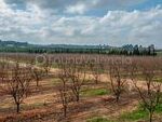 FB500012: Farm for sale in Carcaixent