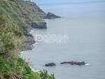 pp173067: Land for sale in Azores