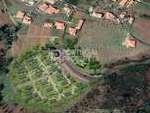 pp173778: Land for sale in Calheta