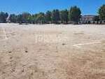 pp173685: Land for sale in Evora