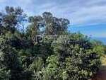 pp172808: Land for sale in Funchal