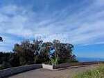 pp172807: Land for sale in Funchal