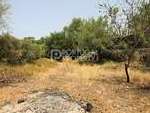 pp4213: Land for sale in Sao Bras