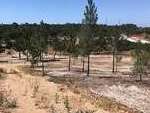 pp4015: Land for sale in Alentejo Coast
