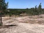 pp4015: Land for sale in Alentejo Coast