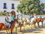 MRT Antequera Equestriawn Finca: Hotels, Bed & Breakfast & Rural Tourism for sale in Antequera