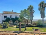 HEQ1 Plaza de Toros: Equestrian Properties for sale in Huelva