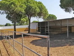 CAEQ34 Chiclana |Equestrian: Equestrian Properties for sale in Chiclana de la Frontera