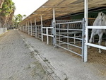 MEQ112 Malaga Equestrian: Equestrian Properties for sale in Málaga