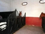 SEQU56 Coria del Rio Farm: Equestrian Properties for sale in Seville