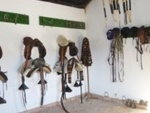 SEQU56 Coria del Rio Farm: Equestrian Properties for sale in Seville