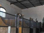 CAEQ83 Chiclana Equestrian: Equestrian Properties for sale in Chiclana de la Frontera