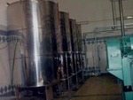 AU255 Finca Tabernas: Olive Farms & Vineyards for sale in Tabernas