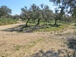 HU273 Finca Olalla de Cala: Farms-Fincas for sale in Aracena
