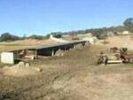 MEQ13 Thoroughbred Stud Farm: Equestrian Properties for sale in Antequera
