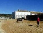 MEQ13 Thoroughbred Stud Farm: Equestrian Properties for sale in Antequera