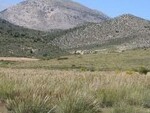 GU280 Granada Hunting Estate: Hunting Estates for sale in Huescar