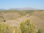 GU271 Finca La Semana: Hunting Estates for sale in Huescar
