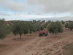 GU291 Finca Cullar: Olive Farms & Vineyards for sale in Granada
