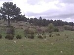 GU309 Sierra Sagra Hunting Estate: Hunting Estates for sale in Huescar
