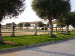 CAEQ87 Santa Maria Equestrian Center: Equestrian Properties for sale in Jerez de la Frontera