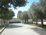 CAEQ87 Santa Maria Equestrian Center: Equestrian Properties for sale in Jerez de la Frontera