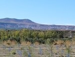 GCP72 Caniles Olive Farm: Olive Farms & Vineyards for sale in Baza