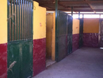 MEQ103 Ceralba Equestrian: Equestrian Properties for sale in Coín