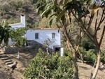 MCP604 Cutar Farm: Farms-Fincas for sale in El Borge
