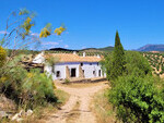 MU508 El Burgo Olive Farm: Olive Farms & Vineyards for sale in Casarabonela