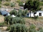 AU263 Sufli Olive Farm: Olive Farms & Vineyards for sale in Almeria