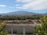 GCP81 Cortijo Zalema: Olive Farms & Vineyards for sale in Baza